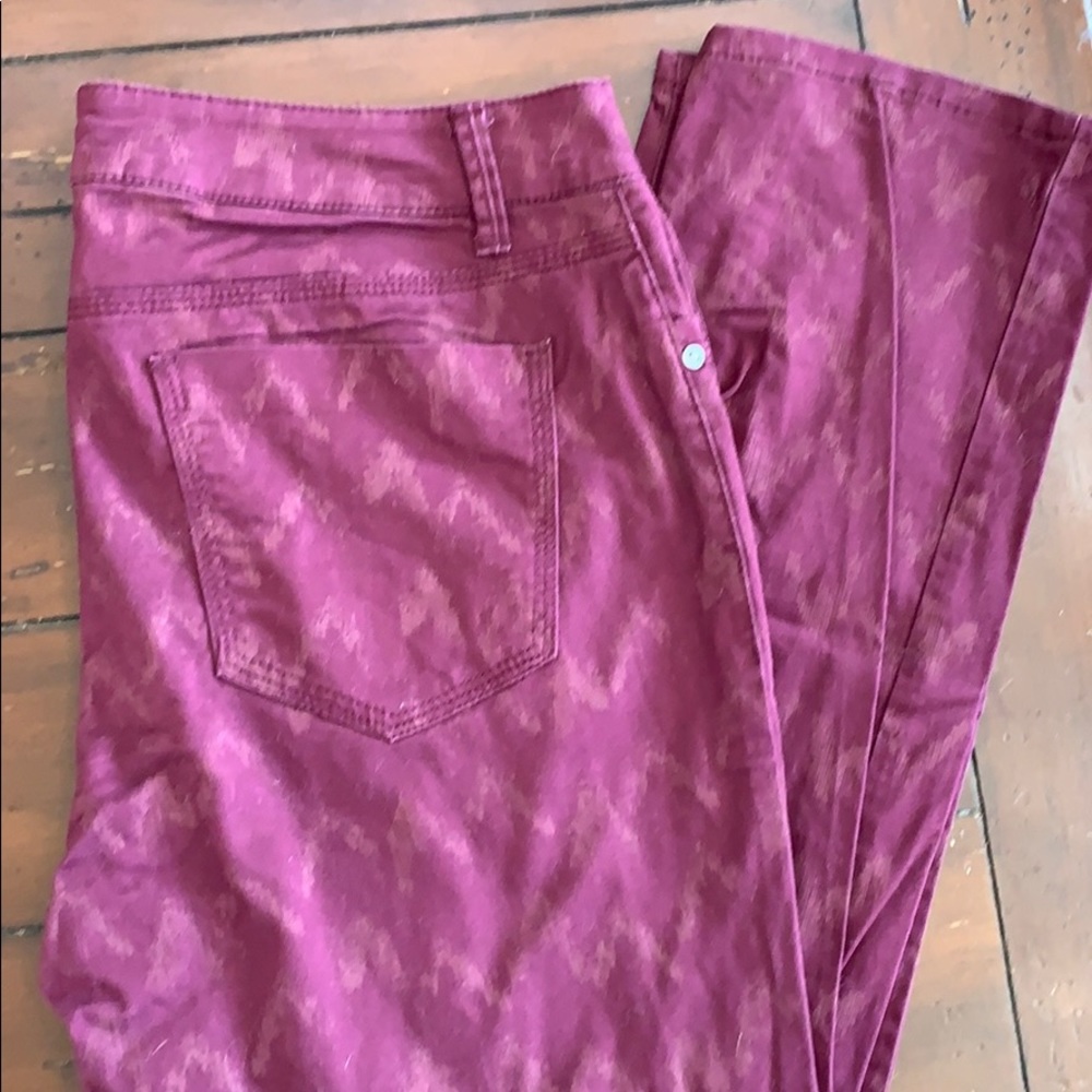 Sonoma Pants